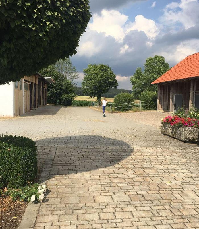 Ferienwohnung Baumgartner Ursensollen Dış mekan fotoğraf